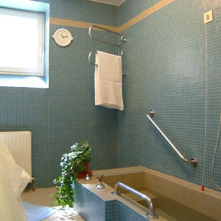 Haus Friedrichsburg - Sommer Bergbahn Inklusive ホテル 3*