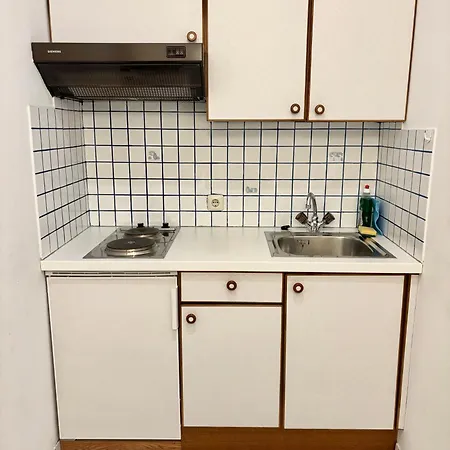Haus Friedrichsburg - Sommer Bergbahn Inklusive 3* バート・ホーフガシュタイン